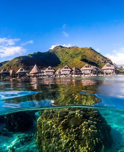 french polynesia underwater hilton snorkeling moorea overunder splitshot