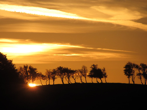morning orange cloud sun white black tree nature weather silhouette yellow sunrise landscape countryside shropshire view natural rowley
