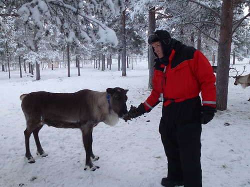 reindeer jhk dutchguy samiexperience