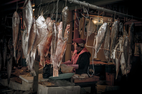 street portrait people woman fish nikon women market candid streetphotography stall korea sell southkorea fishmonger rok 한국 middleaged tongyeong 시장 gyeongsangnamdo 통영 경상남도 북신동 bukshindong
