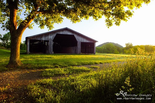 tree grass barn sunrise dawn golden tn nashville bellsbendoutdoorcenter