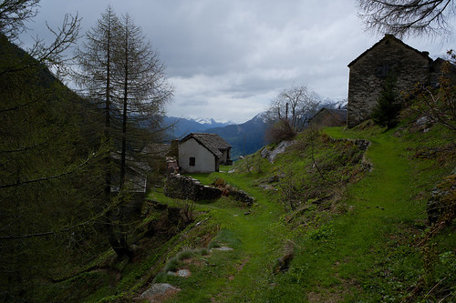 green schweiz switzerland tessin ticino europe suisse hiking 28mm rangefinder svizzera wanderung m9 2013 valleleventina elmaritm stradaalta ©toniv 130602 leicam9 airoloritomseeoscofaido l1012205