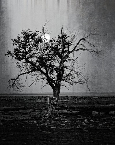 blackandwhite moon oklahoma sunrise dark early sony prairie supermoon