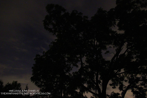 longexposure sky tree nature clouds stars landscape nightshot lovely nightlandscape lightningbugs cloudsstormssunsetssunrises