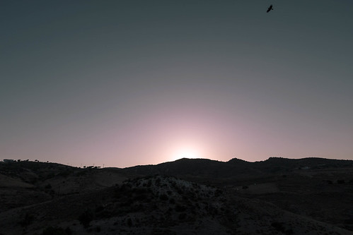 mountains bird colors silhouette sunrise landscape cyprus peyia