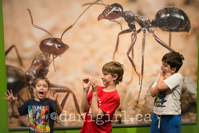"Hey boys, pretend the giant ants are attacking you!"