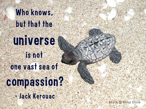 Who knows, but that the universe is not one vast sea of compassion? - Jack Kerouac @HotelXixim