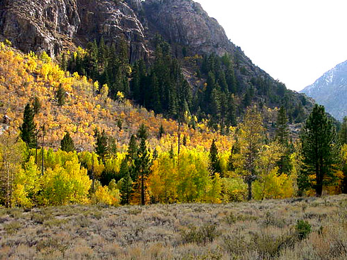 Rush Creek Autumn 2000