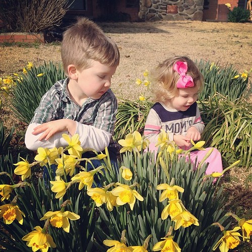 Jealous of Adrienne's daffodils! Can't wait to see Wye Mountain in a couple weeks!