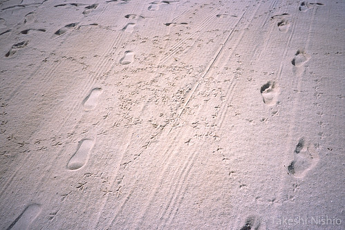 足あと / Footprints