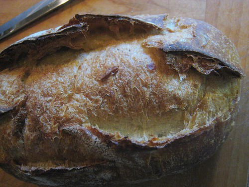 Breadfarm Potato Brea