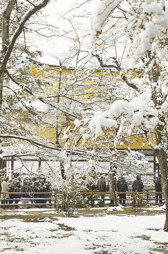 【写真】2014 雪 : 金閣寺/2020-07-05/IMGP4938