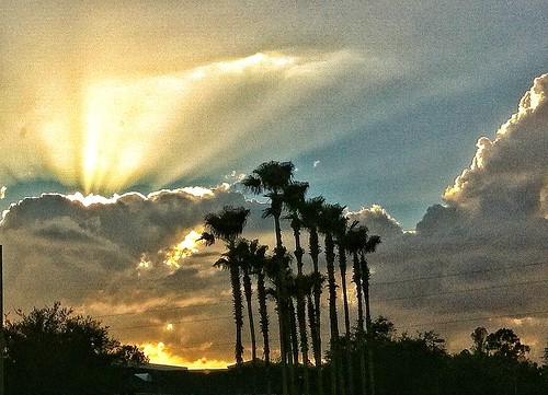 sunset clouds outdoors florida palmtrees sunrays