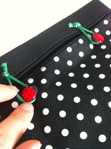 Ladybird pouch project