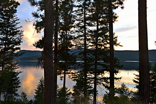 trees sunset sun lake water montana september whitefish relaxation reflexions kalispell 334 littlebitterrootlake littlebitterrootlakemt