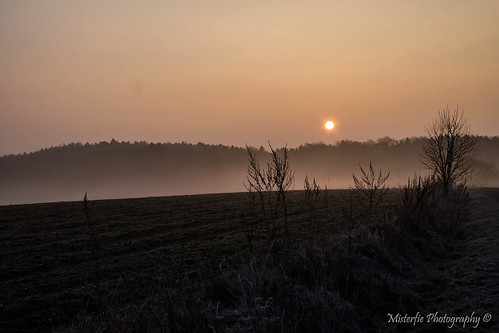 morning mist fog sunrise germany landscape bayern deutschland bavaria nebel landschaft sonnenaufgang hallertau