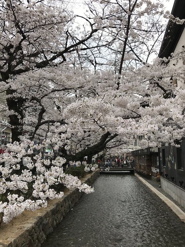centro de kioto