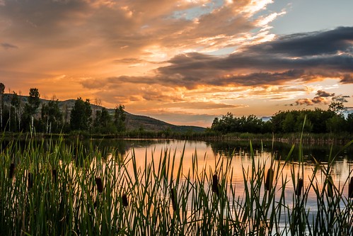sunset orange mountain lake color reflection green water colors grass skyline clouds landscape utah pond heber august canyon valley grasses aspen midway pinetrees reflectingpond pondlake d7100 august2013