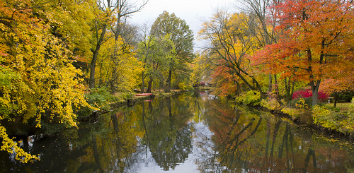 autumn trees color fall water colors leaves reflections river landscape colorful waterreflections cranford rahwayriver