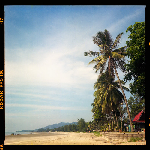 trees beach mediumformat landscape coconut bluesky hills malaysia distance kuantan pahang beachsand mamiyac330s kodakektacolorpro160 sekor80mmf28 pantaibatuhitam hafizmarkkzaki