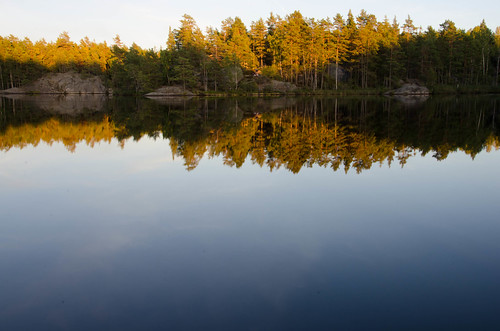 nature forest nationalpark sweden natur national parc tyresta suède skogen comtédestockholm