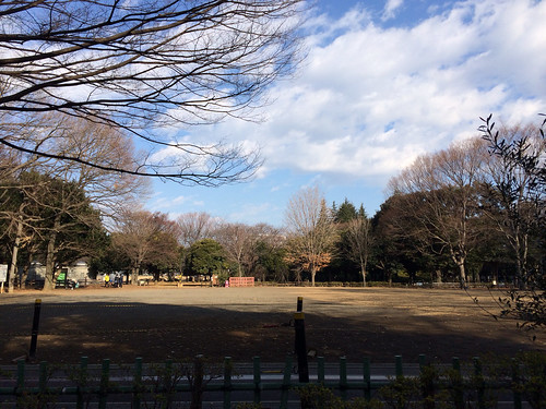 世田谷公園に行ってきました