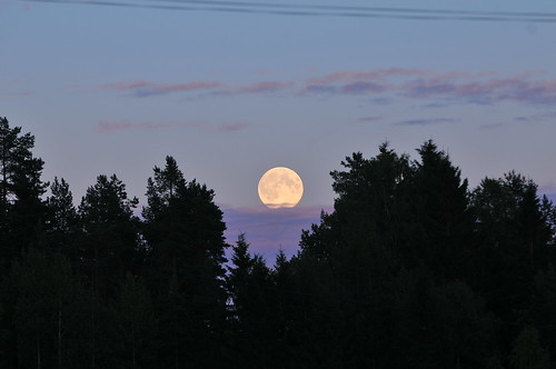 trees sunset sky moon sweden full farelius