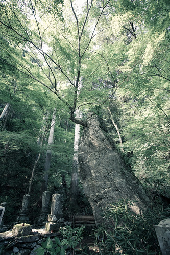 nature japan forest landscape asia nippon canon5d asie japon nihon