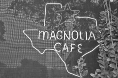 Austin - Magnolia Cafe