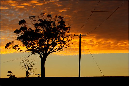 australia tasmania midlands andover nala sunset hills hill telegraphpole trees tree sky skyline countryside tasmaniancountryside tasmanianscenery evening pole wires outline silhouette lighting trainsintasmania stevebromley canoneos550d ef35350mm13556lusm