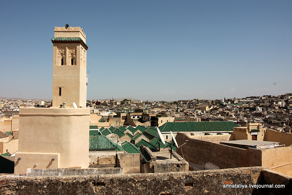 Зачем в этом марокканском городе каждому туристу вручают веточку мяты? IMG_5302
