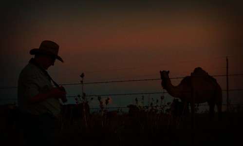 camera sunset oklahoma hat cowboy camel prairie