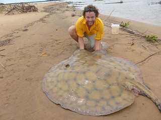 Awesome river ray