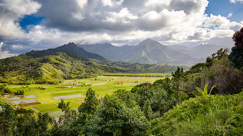 jungle kauai natureview travelphotography nature water bracketing hills hawaii bracketed princeville hdr summer hanaleivalleyoverlook amateurphotography landscapephotography pacific valley view wideangle usa landscape handheld noon overcast canoneos6d 25mm peaceful naturephotography colorful mountain f11 viewingpoint scenery beautiful mountains trees canonef1635mmf4lisusm daylight clouds green tree iso800 field