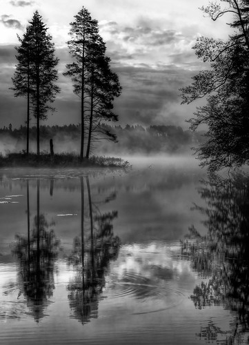 sea summer sky bw lake reflection tree water clouds forest sunrise blackwhite woods sweden sony calm hdr a77 finspång östergötlandcounty
