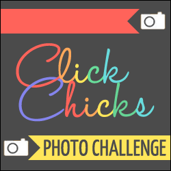 Click Chicks Blog Photography Challenge