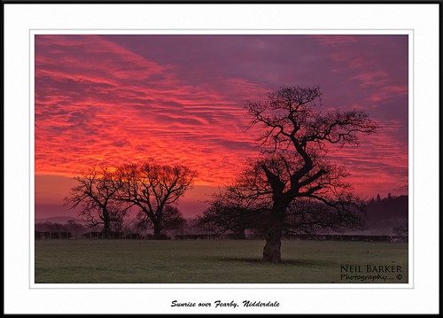 trees mist sunrise dawn nikon frost ngc northyorkshire nidderdale daybreak fearby neilbarkerphotography