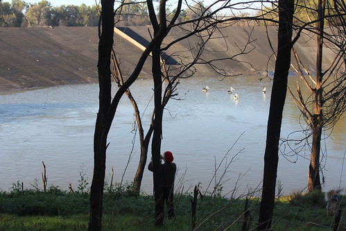 IMG 2271 Chinchilla Weir