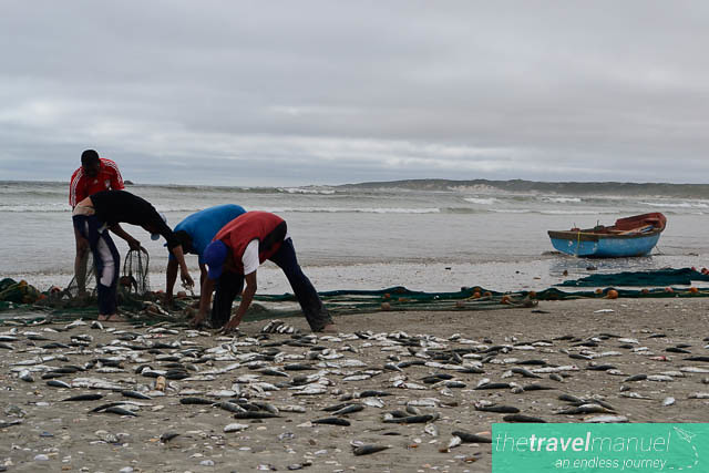 Fishing in Paternoster