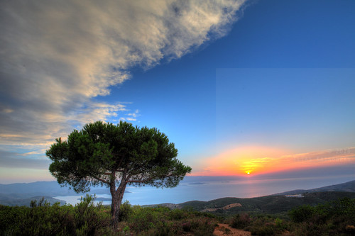 horizontal outdoors nopeople view bay sea sky cloud clear weather sunset tree one hdr highdynamicrange vista islands travel travelling september 2016 summer vacation canon 5dmkii camera photography colour color milina μηλίνα πήλιο pelion thessaly pagasiticbay greece ελλάδα clouds lafkos λαύκοσ προφήτησηλίασ