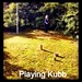 Hier spelen we het Zweeds spel Kubb.