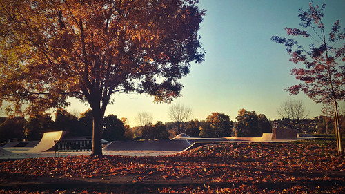seattle morning autumn leaves sunrise centraldistrict judkinspark