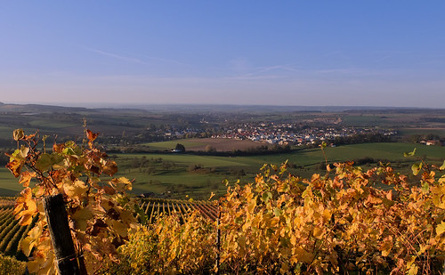 germany geotagged vineyard weinberg badenwuerttemberg hohenlohe bitzfeld lindelberg canonpowershotg16