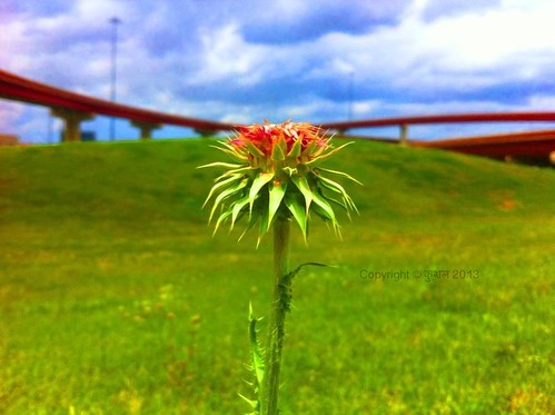 sky urban color nature beautiful beauty composition photography focus colorful texas view irving capture hdr mothernature