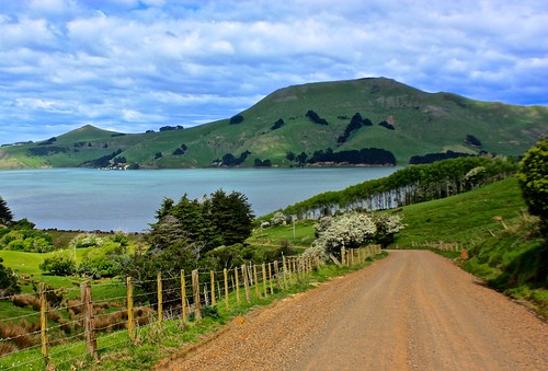 back roads on the Otago Peninsula