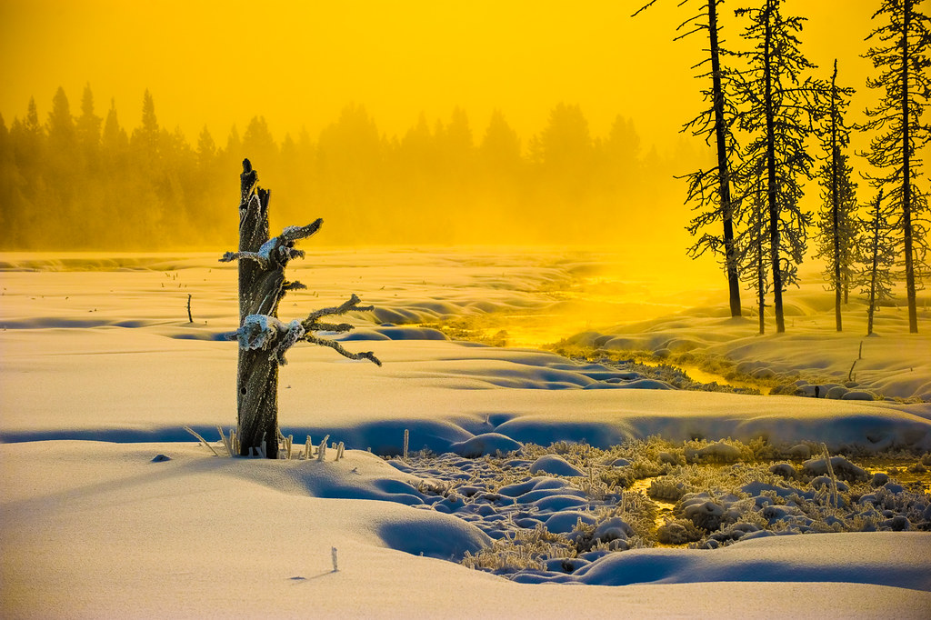 Yellowstone Morning In Winter