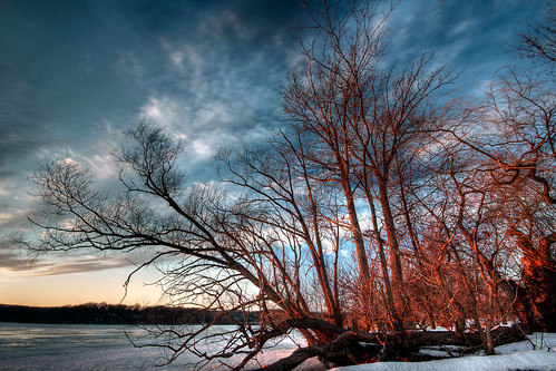 blue winter sunset sky orange cloud snow cold tree ice frozen hamilton cootesparadise