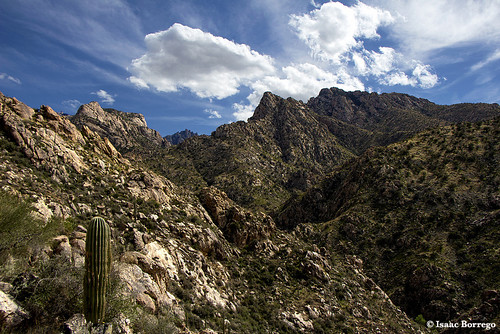 mountains cactus peaks clouds romerocanyon catalinamountains tucson arizona canonrebelt4i desert skyislands unitedstates america usa