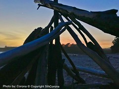 Spring Break Trip Enjoying the Sunset 02 - Title #SantaCruz #WestCoast #California #CA-1  #AdventureTime #CAL #Photography #Photo #Artist #Art #Light #Nature #Travel #Explore #ArtIsEveryWhere #Trees #Earth #Atmosphere #Explorationgram #Adventuregram   #sp