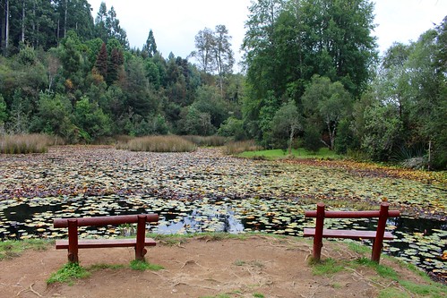 Parque Saval